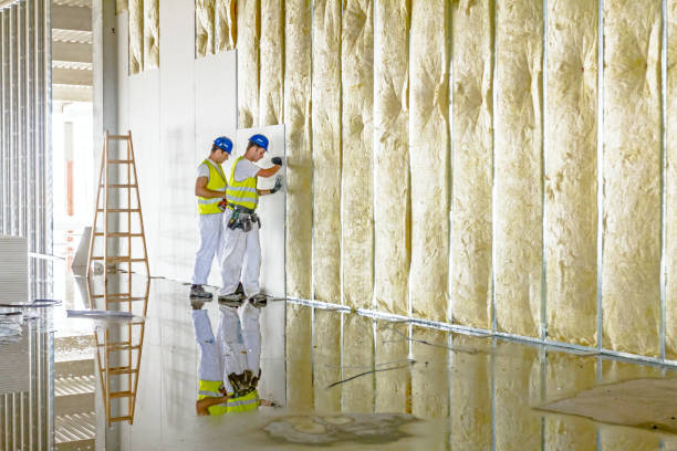 Best Insulation Maintenance and Repair in Florissant, MO